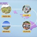 한국카25시 이미지