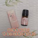 다담허브 | 와이블룸 와이로지 향 좋은 속옷향수 솔직 후기