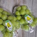 자연청과 이미지