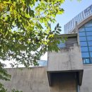 성동구민종합체육센터 이미지