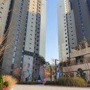 라온중고등학교 이미지