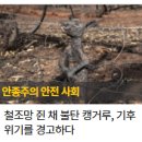 신나는가족도서관 이미지