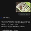 만수동물병원 | 고양이설사 때문에 고생했다면? 펫아이1000 고양이유산균