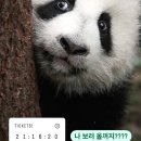 별의별 / 2311_3