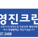푸른소독