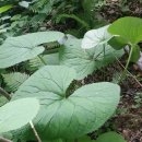 강산자연농장 이미지