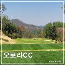 강원도 원주 오로라CC 라운딩 후기, 마운틴 코스 솔직 리뷰