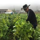 농업회사법인(주) 서원 이미지