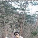 소나무황토펜션 이미지