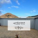 두온풀빌라 | < 경주 숙소> 경주 애견동반 독채 풀빌라 두온풀빌라