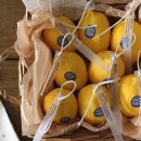 라이프 오브 라일리(Life of Riley) 이미지