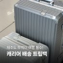 백트립 | 제주도 뚜벅이 여행 필수! 캐리어 배송 트립백 내돈내산 후기