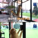 순이농장 이미지