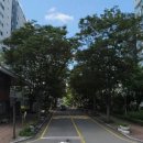 샛별아파트경로당 이미지