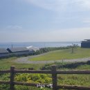 [제주도 신혼여행]섭지코지/제주 현지맛집 신미민물장어/DAY5-2