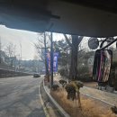 박재순 | [국립극장/ 국립무용단] 국립무용단 2026 축제 후기