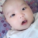 예원사진관 Daum카페