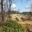 윤강 선생 묘 및 신도비 이미지