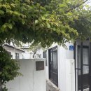 협재 민박 | [제주/협재] 가성비 숙소 바당다레민박 103호 짧은 후기