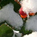 양촌리마을 이미지