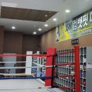 팀매드 이미지