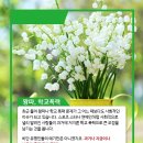 한양 태권도장 이미지