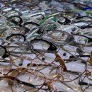 시선안경원 이미지