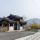 경주시건천읍화천보건진료소 | 경주 가볼만한곳 노란 물결 가득한 백석마을 산수유 숲길