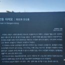 상안동 지석묘 이미지