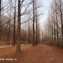 불광천길 이미지