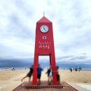 동해 망상해수욕장 브런치 내돈내산 맛, 뷰 다 잡은 지구인커피