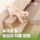 해오름동물병원 - 성남시 중원구 희망로 402 | 해오름동물병원