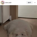 흰바위로92번길 이미지