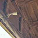 주안농장 이미지