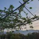 수종농장 이미지