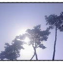 성산이엔지