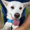 제주독채펜션자쿠지감성숙소구르미별동 이미지