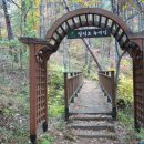 달성보 녹색길 이미지