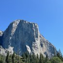 현기농장 | 미국 서부 신혼여행 2일차 | 샌프란시스코 요세미티 당일 투어