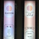셀몽
