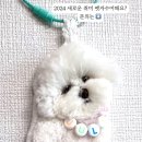 미남상회 이미지
