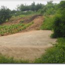 구암마을진입로 이미지