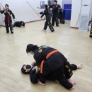 강한합기도 이미지