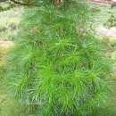 위경화농장 이미지