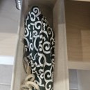 자잠림 료칸 이미지