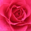 꿈마을지역아동센터 이미지