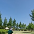 화천코다리