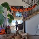 일로일로 | [무안 카페] ❣️일로일로 방문 후기 ❣️ 25.06.08