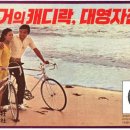 대영자전거 이미지