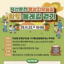 치유, 명상의 숲 이미지